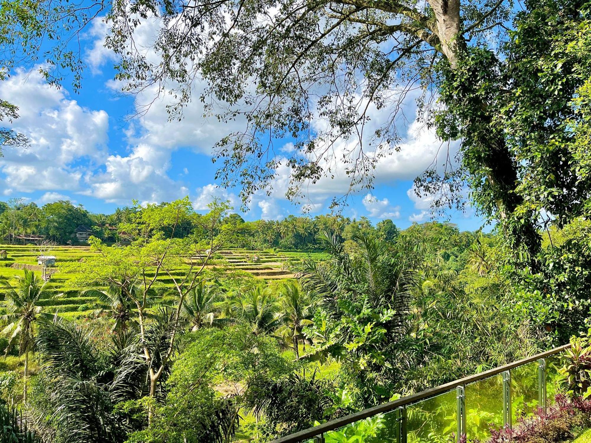 Вилла Permata Ayung Private Estate (Adults Only) Убуд Экстерьер фото